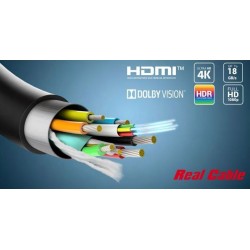 Real Cable HDMI Optic meilleur prix Paris Normandie le Havre Rouen Fécamp Dieppe Caen Evreux St Lo Seine Maritime Bretagne Mans