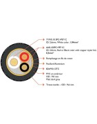 Norstone XLR Jura meilleur prix le Havre Rouen Fécamp Dieppe Caen Evreux St Lô Paris Seine Maritime Normandie Hauts ile france