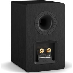 Dali Kupid meilleur prix pas cher le Havre Rouen Dieppe Fécamp Evreux Caen St lo Paris normandie Seine Maritime Yvetot noir dos