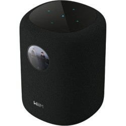 Wiim Sound meilleur prix le Havre Rouen Fécamp Dieppe Caen Evreux Cherbourg St Lo Normandie Seine Maritime Yvetot  noir