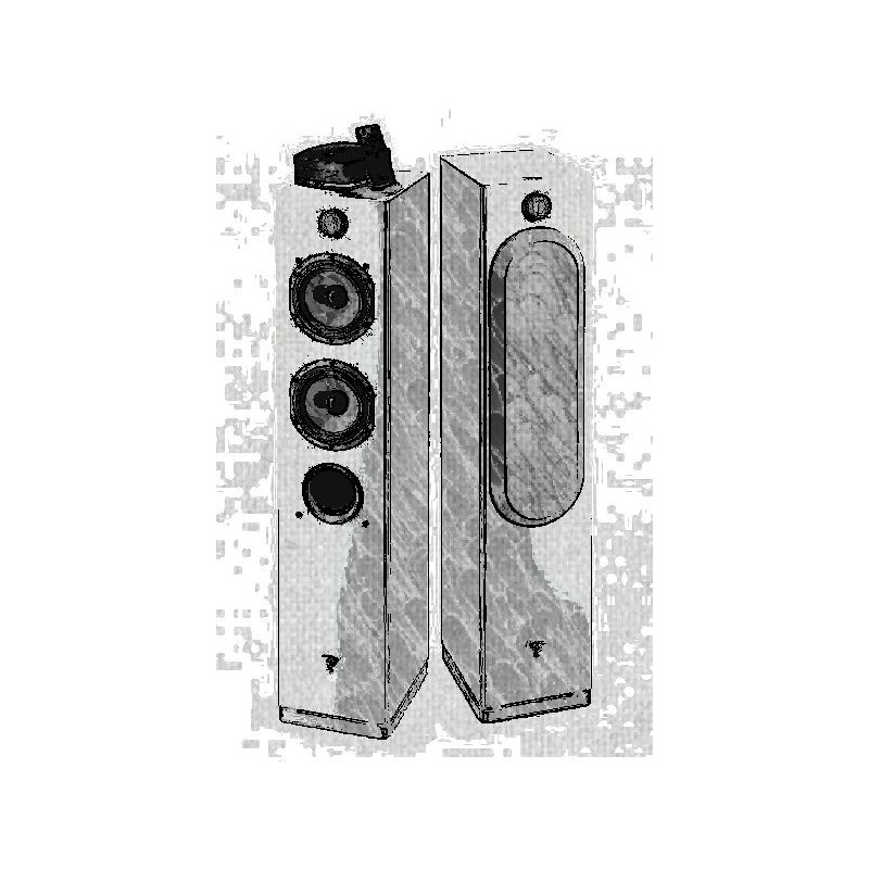 Enceintes Amplifiées