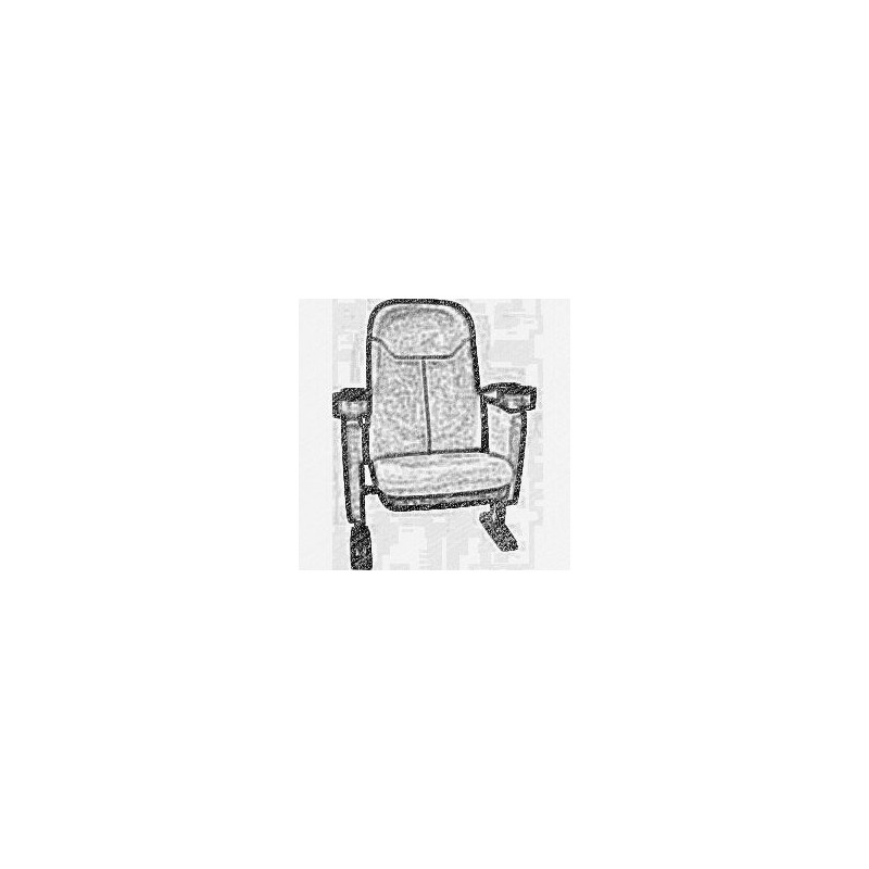 Fauteuils pour salle Home Cinéma