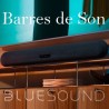 Bluesound Barre de son Meilleur prix Revendeur Normandie Seine Maritime pas cher