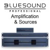 Bluesound Professional amplificateurs sources intégration BluOS Meilleur prix Revendeur Normandie Seine Maritime pas cher